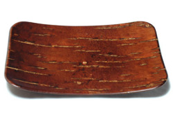 c13304-01